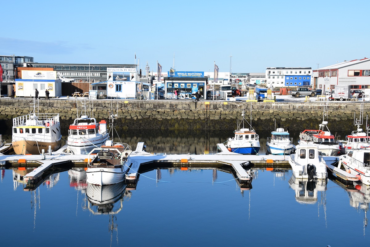 Bootjes in de haven van Reykjavik voor het kantoor van aanbieders van walvistours.