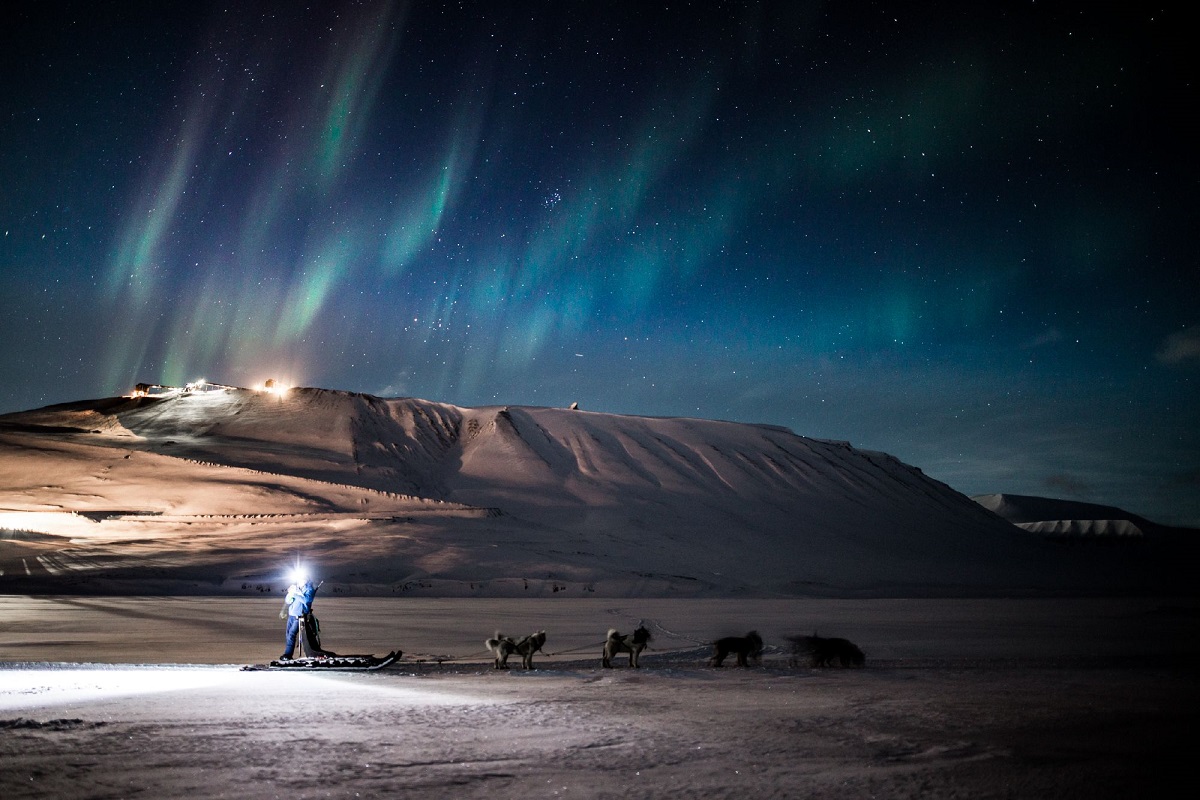 Een hondenslede onder het noorderlicht in Spitsbergen.