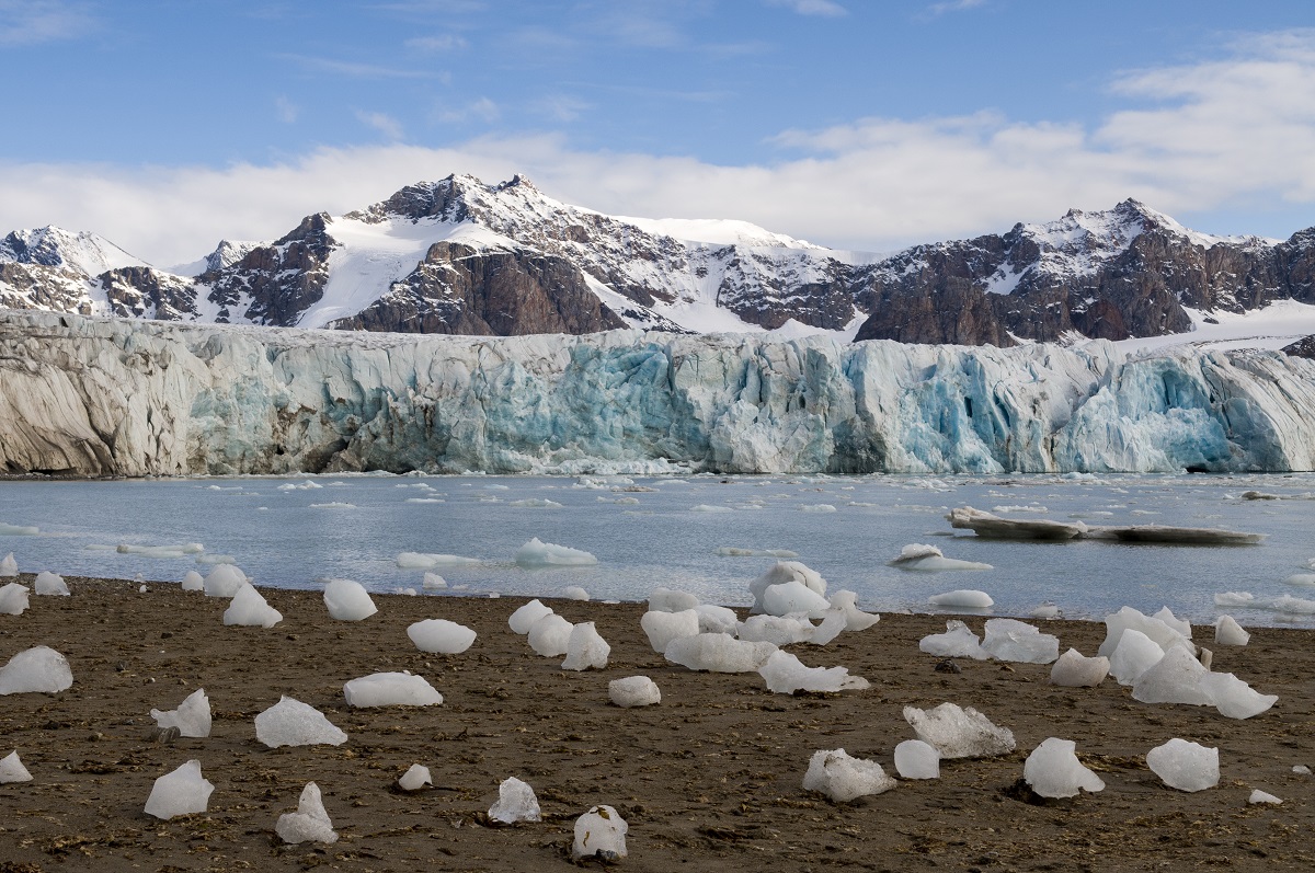 IJsbrokken liggen op het strand in Spitsbergen, met op de achtergrond een grote gletsjer.