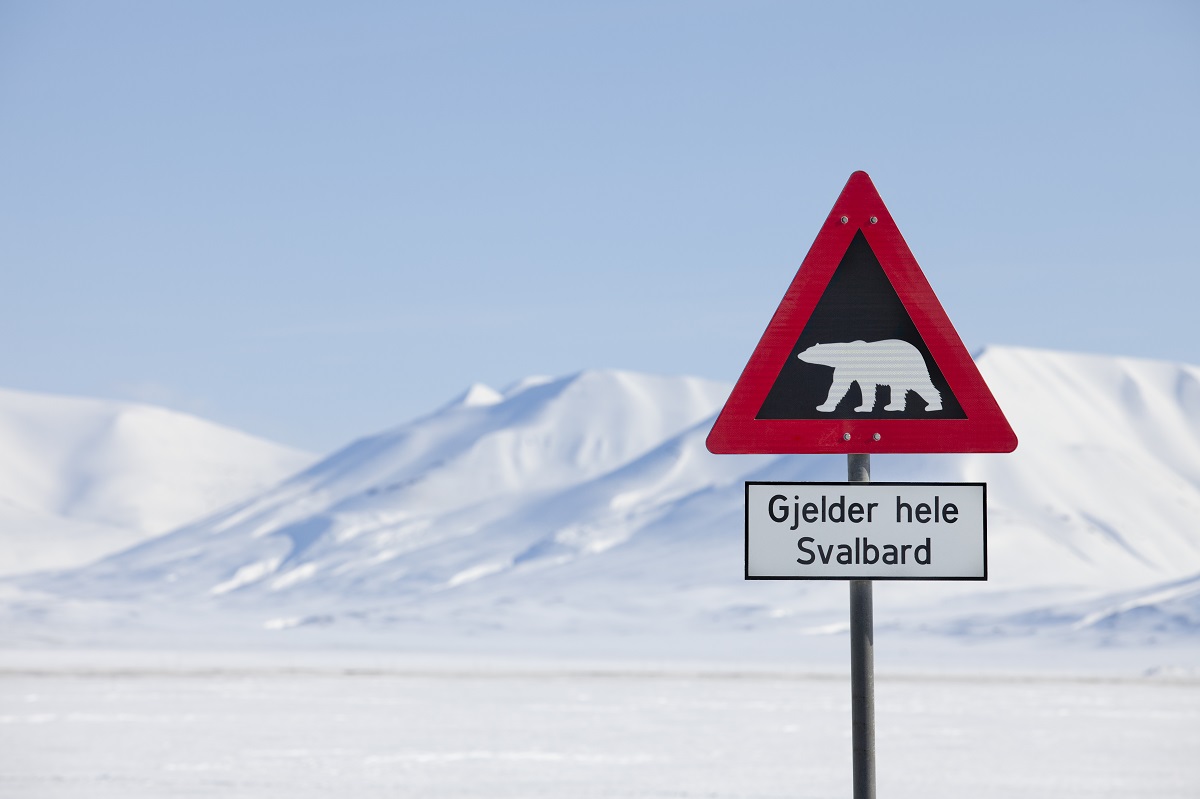 Pas op voor ijsberen in het besneeuwde landschap op Spitsbergen.