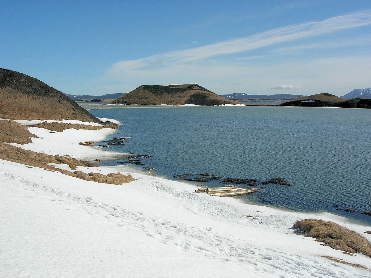 Pseudokraters met de sneeuw in het meer Myvatn in noord IJsland.