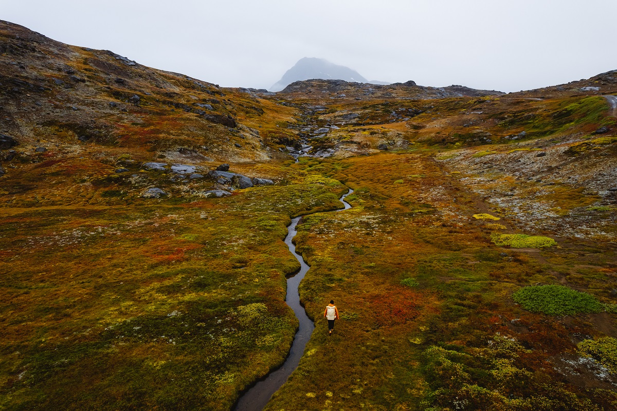 Flower Valley in Tasiilaq in volle herfstbloei.