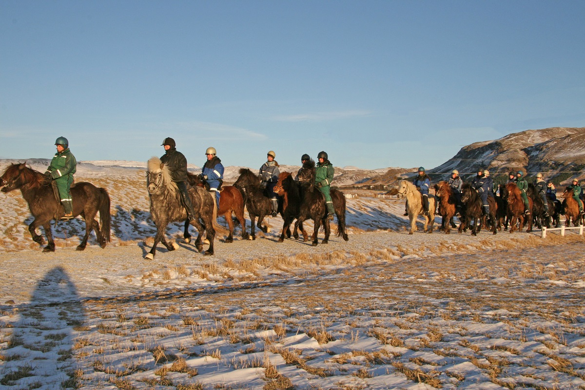 Reizigers tijdens een winterse paardrijtour in zuid IJsland 