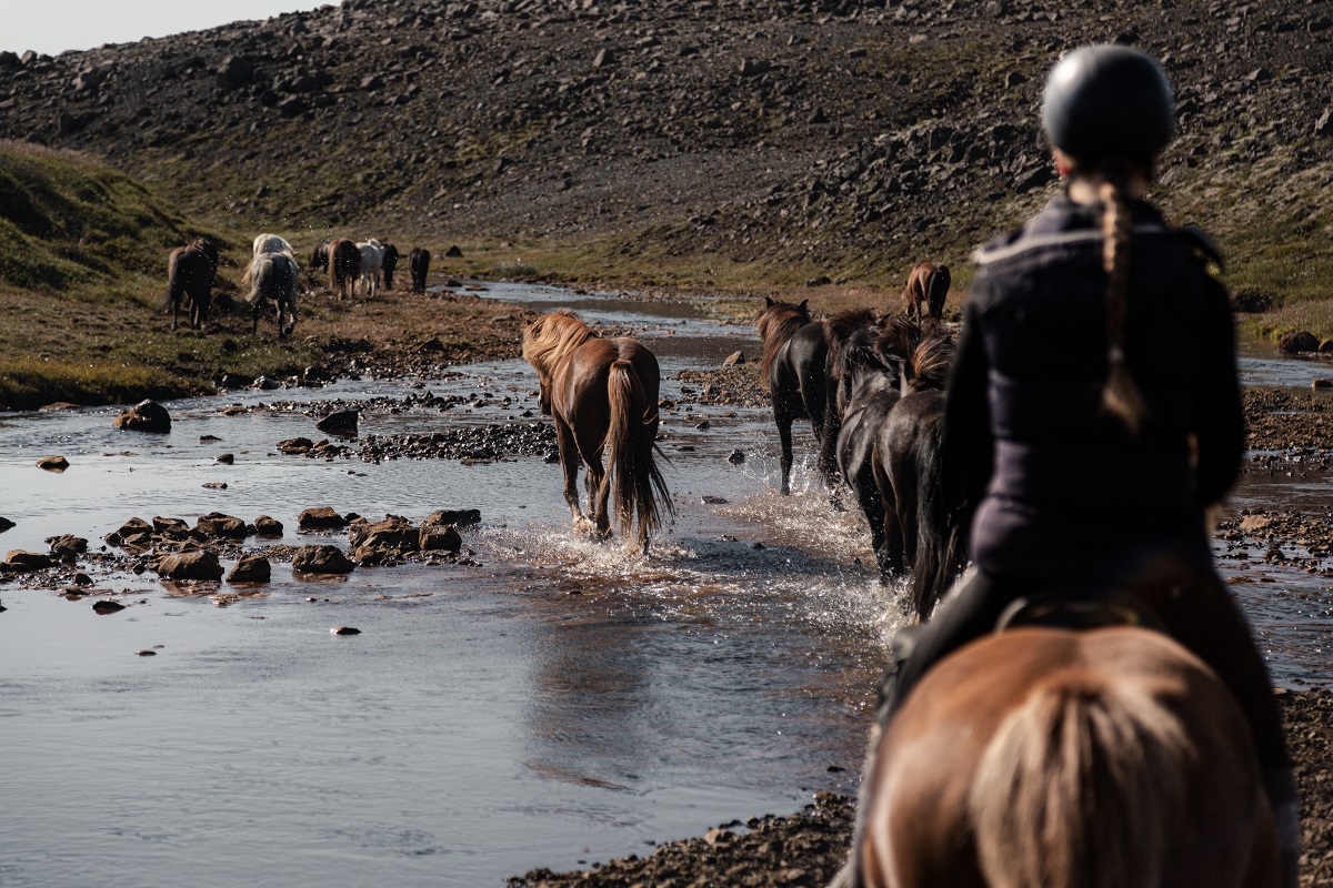 Kudde wandelend door water gevolgd door reizigers te paard | Louisa Hackl | Islandshestar | IJsland Tours