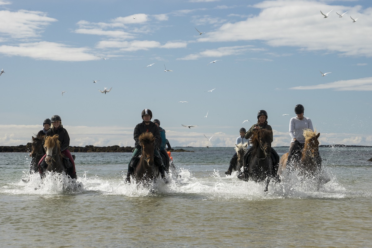 Wandelen door het water te paard.