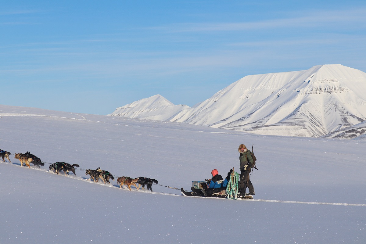 Een gewapende gids en reiziger op een hondenslee in het winterse Spitsbergen