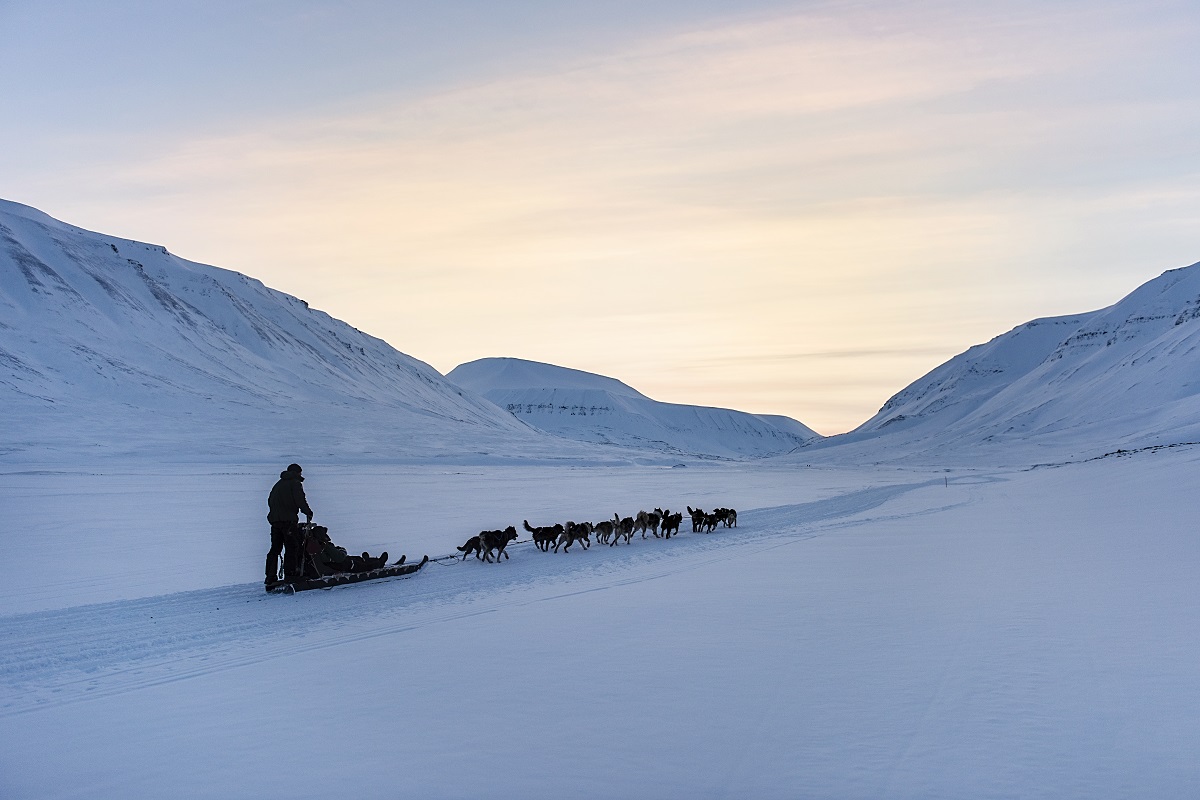 Reizigers op een hondenslee tijdens zonsopgang op Spitsbergen.