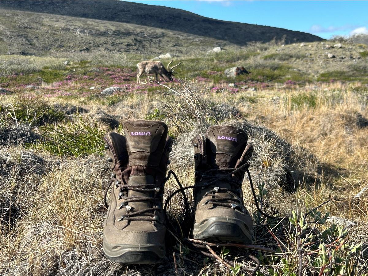 Goede stevige wandelschoenen zijn een must.